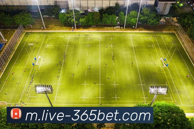 365bet平台生态图